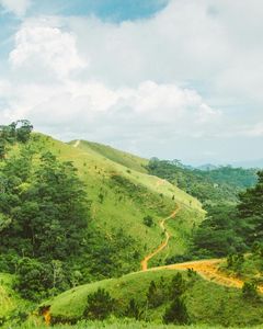 Scenic Landscape